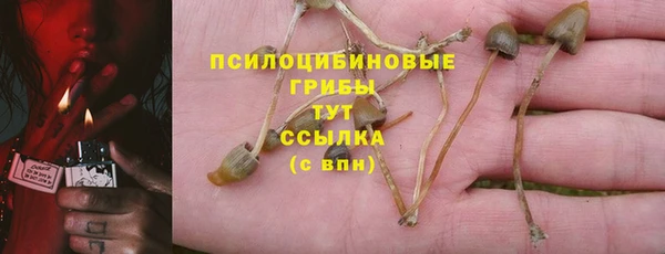 бутират Верея