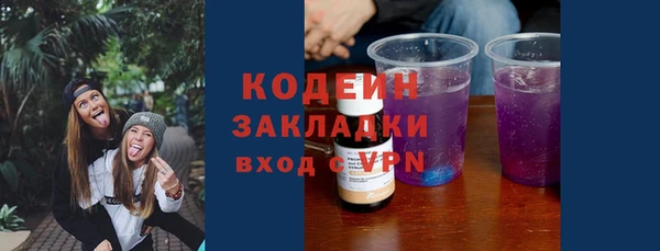 прущие грибы Верхний Тагил