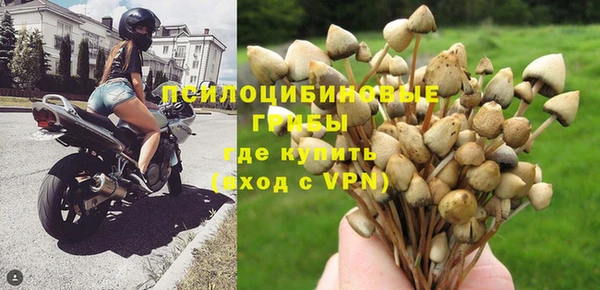 прущие грибы Верхний Тагил