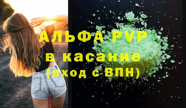 прущие грибы Верхний Тагил