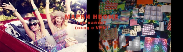 прущие грибы Верхний Тагил