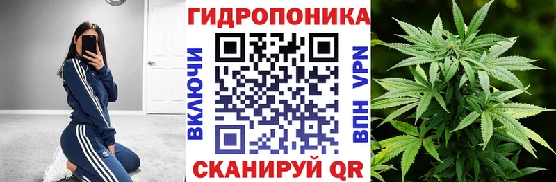 Бошки марихуана сатива Луховицы